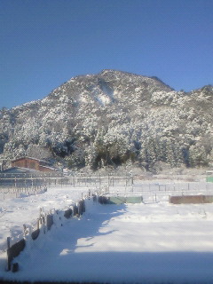 今度はきれいに写った!