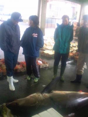 Jaws!1