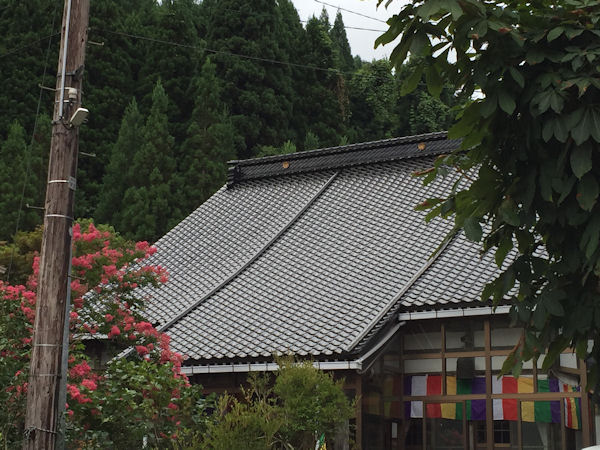 20150817_1286844.jpg