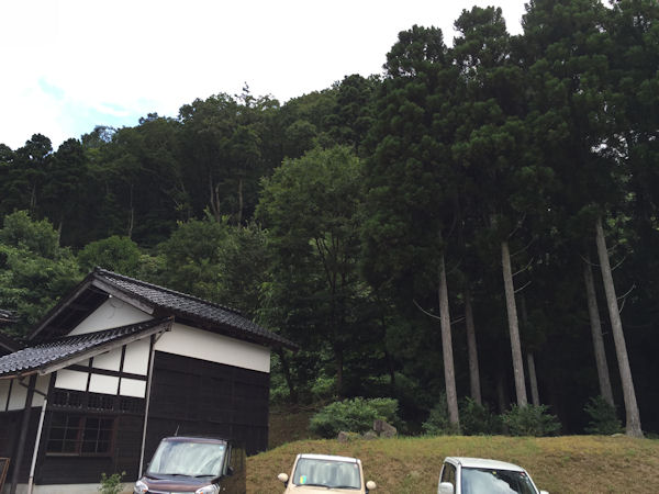 20150817_1286845.jpg