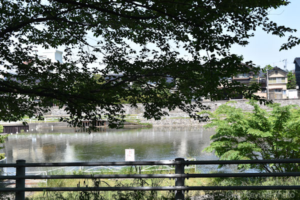 DSC_0358.JPG
