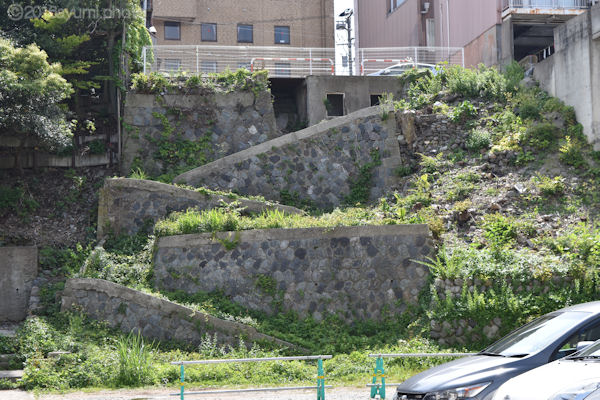 DSC_0403.JPG
