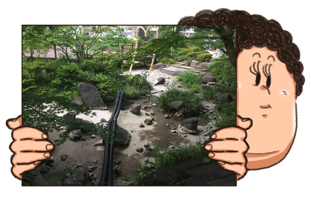水が抜かれた毛利庭園の池