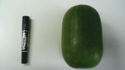 冬瓜