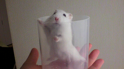 体重測定