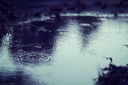´Å¥Ç¥¸¤Î°Û¾ï¤Ê¥Ï¥Þ¤ê¤Ï±ó³ÖÁàºî¤È¤Ï°ã¤¦
