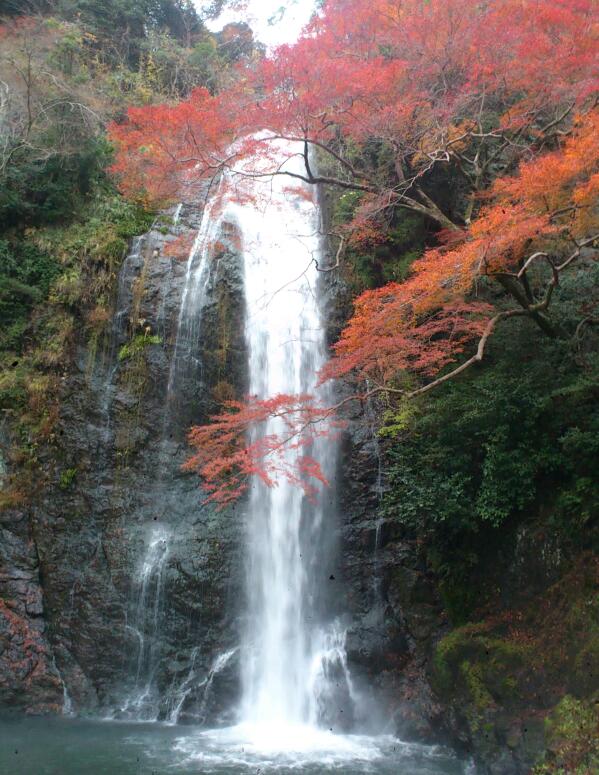DSC_0338-1.jpg