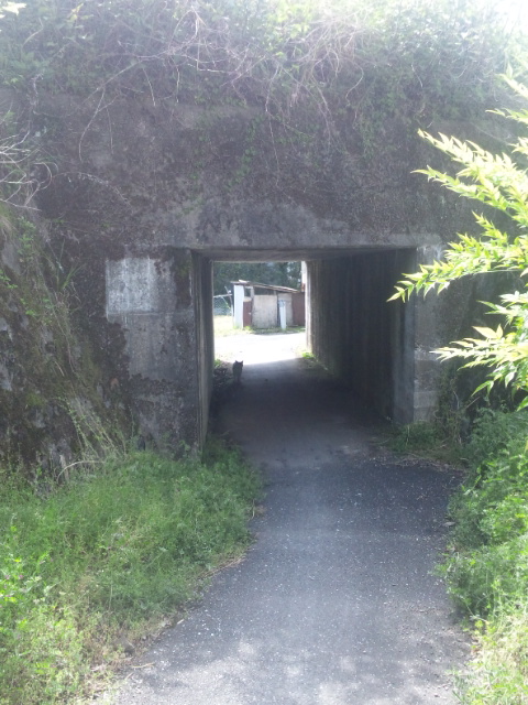 DVC00379.jpg