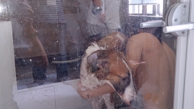 シャンプー包みこみ