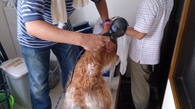 ドライヤー
