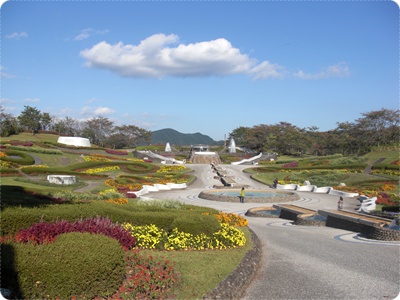 CIMG9512.JPG