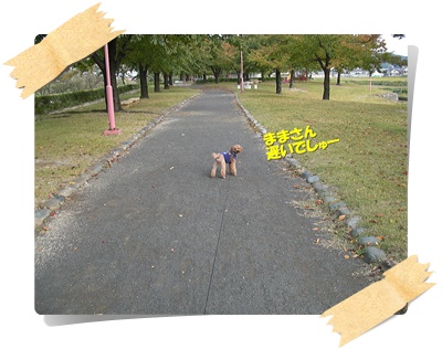 CIMG0292.JPG