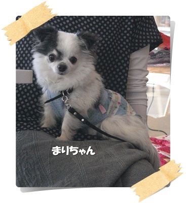 CIMG0303.JPG
