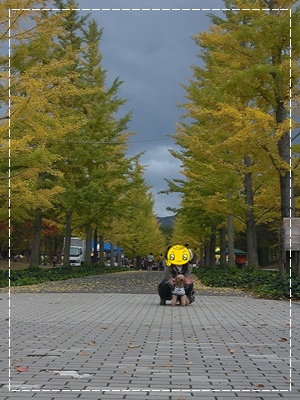 CIMG0583.JPG