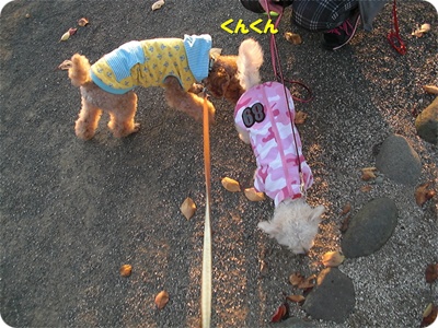 CIMG0822.JPG