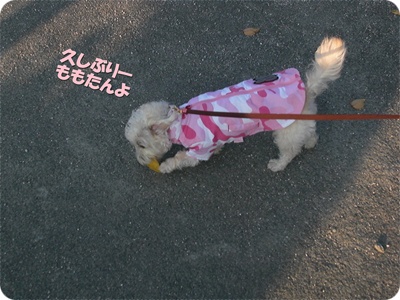 CIMG0678.JPG
