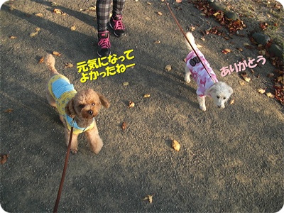 CIMG0685.JPG