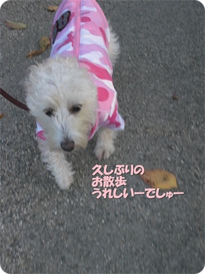 CIMG0715.JPG