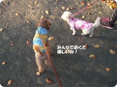 CIMG0747.JPG