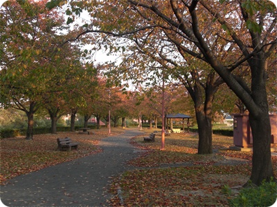 CIMG0808.JPG