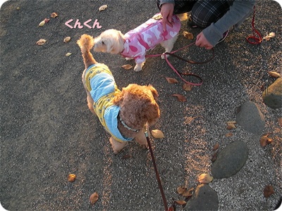 CIMG0819.JPG