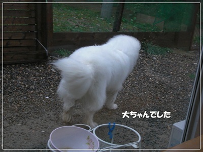 CIMG0952.JPG