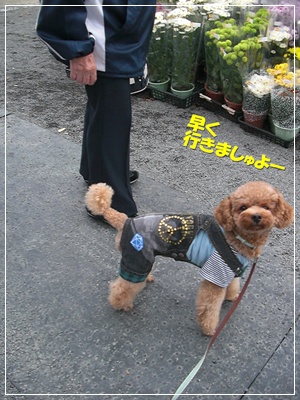 CIMG0992.JPG