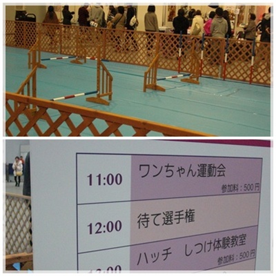 イベント広場.jpg