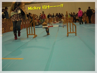 CIMG3846.JPG