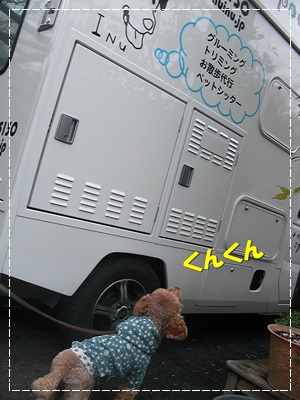 CIMG4937.JPG