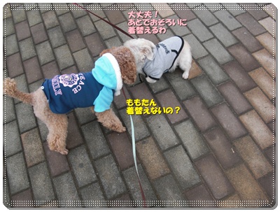CIMG6073.JPG