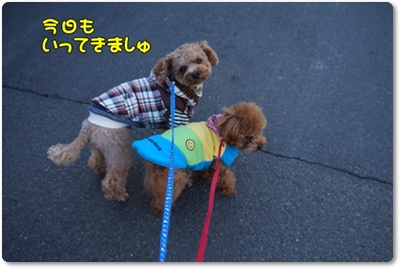 DSC00434.JPG