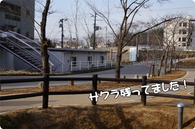 DSC00620.JPG