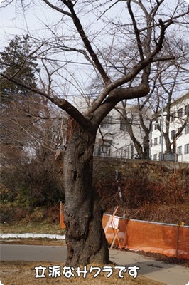 DSC00635.JPG