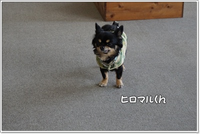 DSC00730.JPG