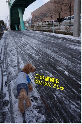 DSC01207.JPG