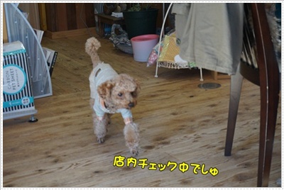 DSC01340.JPG