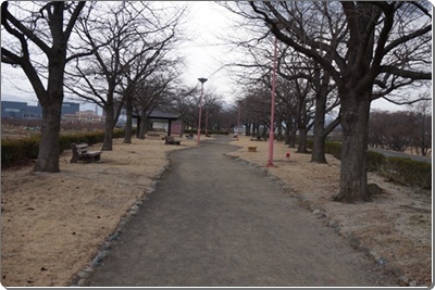 DSC01462.JPG