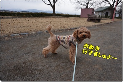 DSC01468.JPG