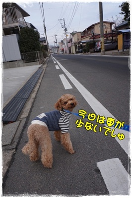 DSC01704.JPG