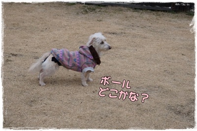 DSC01755.JPG