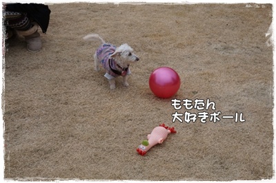 DSC01772.JPG