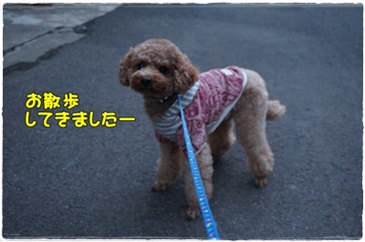 DSC01879.JPG