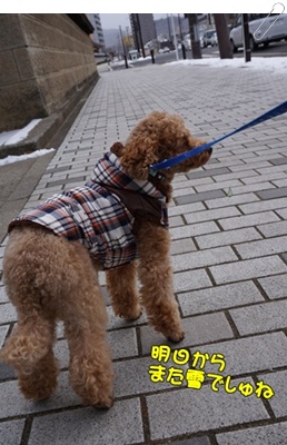 DSC02061.JPG
