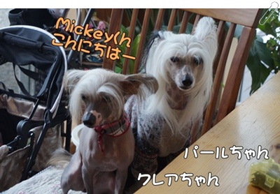 DSC02095.JPG