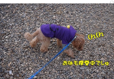 DSC02103.JPG