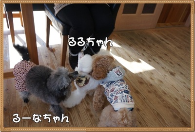 DSC02383.JPG