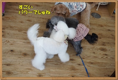 DSC02397.JPG