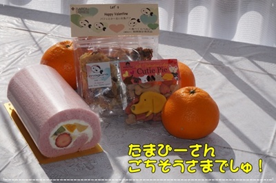 DSC02668.JPG