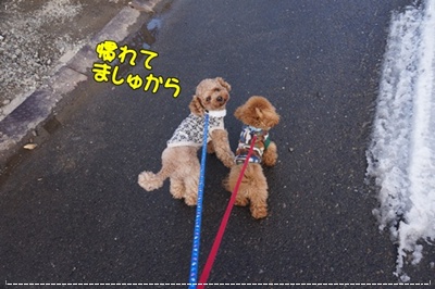 DSC02714.JPG